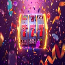 6777vet